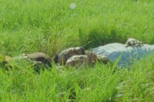 CULTURA PROFÉTICA REGRESA CON “BENDITO VICIO”, ABRIENDO UNA NUEVA ETAPA CREATIVA